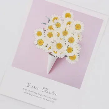 120pcs Presate Uscat Daisy Flori Plante Pentru Epoxidică Rășină Pandantiv Colier Bijuterii de Luare de Artizanat DIY Accesorii
