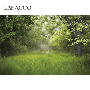 Laeacco Verde Fundaluri Pentru Fotografie Primăvară Copac Iarbă De Gazon Petrecere În Aer Liber, Picnic Scena Fotografie Fundal Studio Foto