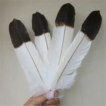 En-gros de 10 buc 16-18inches/40-45cm alb natural Vultur pene de pasăre de Calitate Selectat pene de Vultur bijuterii diy decorare