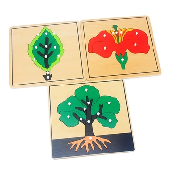 Copilul Montessori Materiale De Puzzle-Uri Din Lemn Jucarii Educative De Creștere A Plantelor Panou De Lemn Jucărie De Învățare Tangram/Puzzle Copii Mici Preșcolari