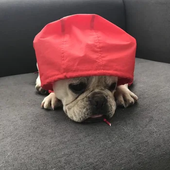 Umed animale de companie pelerina de ploaie 2018 vara nou animal de companie impermeabil pălărie de mătase, îmbrăcăminte de protecție solară, haine de câine, de o generație.