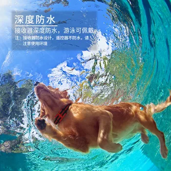 Zgarda de dresaj 500M sunet Șoc Electric Anti-Coaja de la Distanță, rezistent la apa usb Reîncărcabilă LCD câini de formare reglabil PO045
