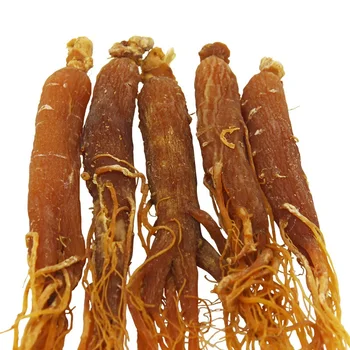 Original Rosu Rădăcini de Ginseng,100-1000g,de Bună Calitate ,rapid, transport gratuit